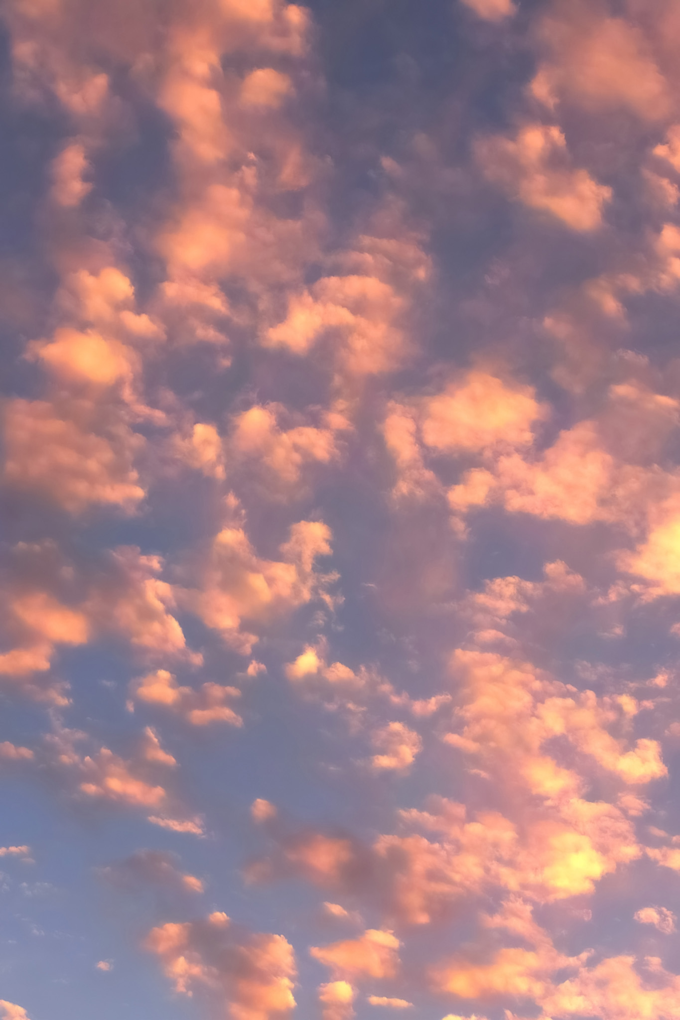 ピンクの雲が夕焼けに煌めく の画像 写真素材を無料ダウンロード 1 背景フリー素材 Beiz Images