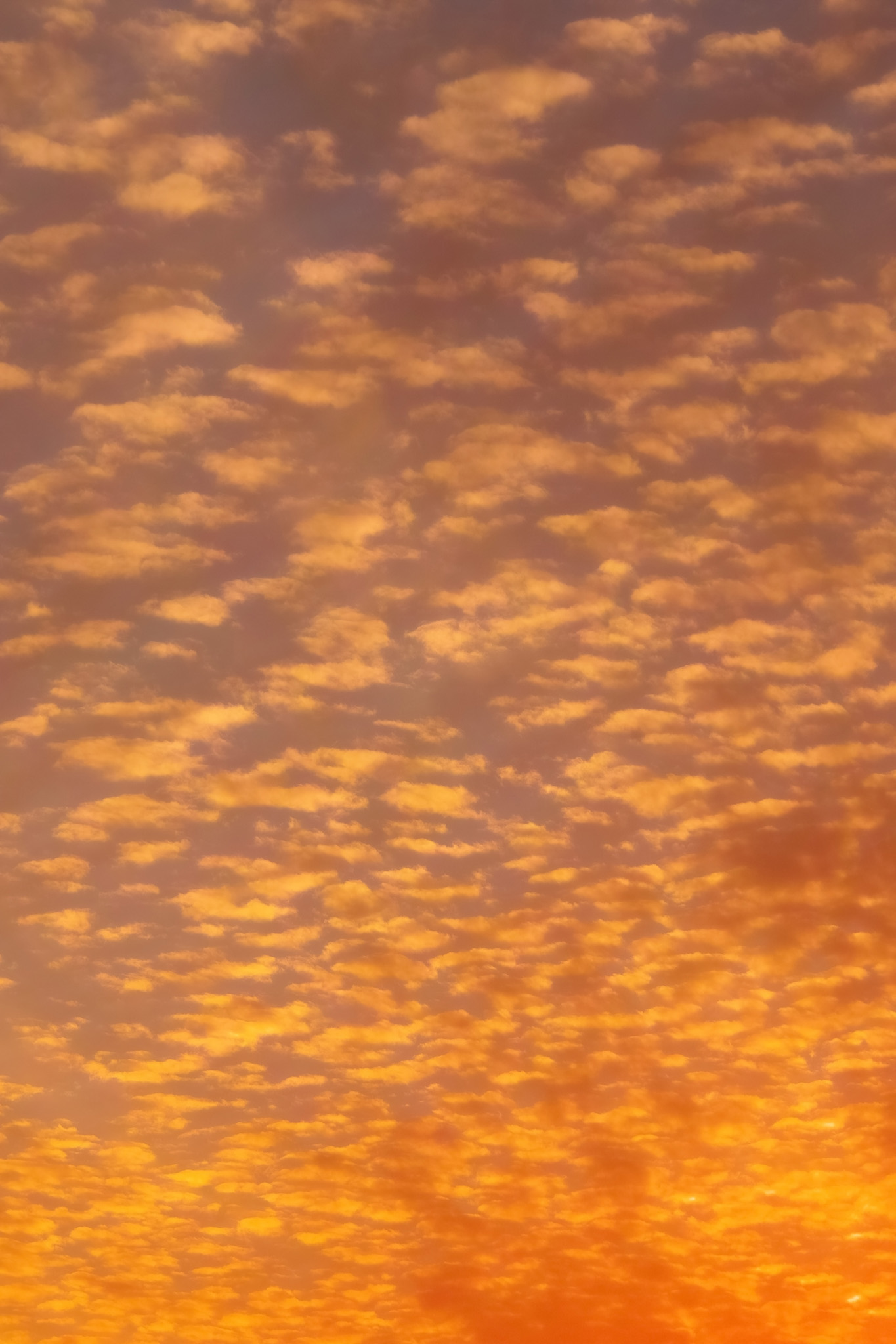 オレンジ色の雲が夕焼けに広がる の画像素材を無料ダウンロード 1 フリー素材 Beiz Images