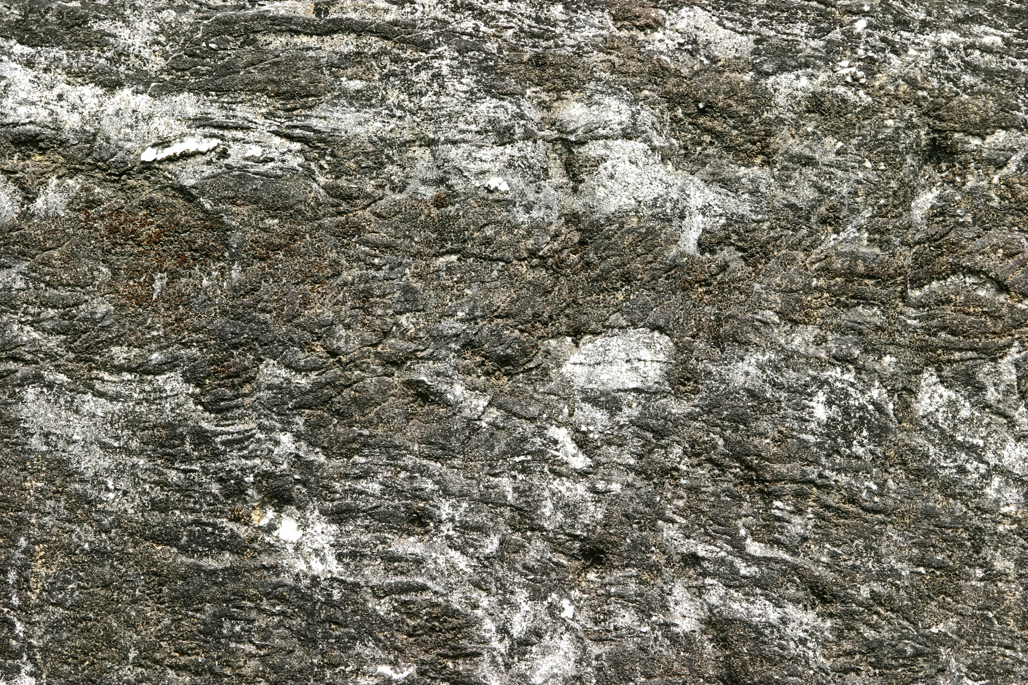 マーブルの皺が入った石 のテクスチャ素材を無料ダウンロード 1 フリー素材 Beiz Images
