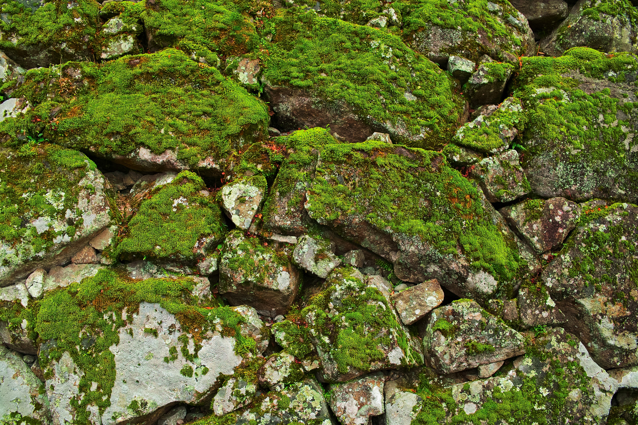 苔が生え朽ち果てた石積み のテクスチャ素材を無料ダウンロード 1 背景フリー素材 Beiz Images